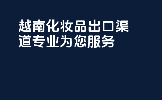 越南化妆品出口渠道，专业为您服务