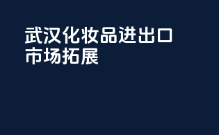 武汉化妆品进出口市场拓展