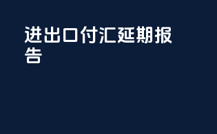 进出口付汇延期报告