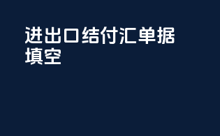 进出口结付汇单据填空