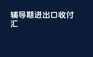 辅导期进出口收付汇