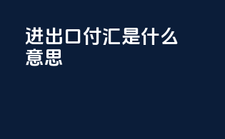 进出口付汇是什么意思
