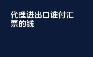 代理进出口谁付汇票的钱