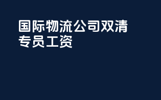 国际物流公司双清专员工资