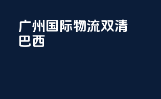 广州国际物流双清巴西