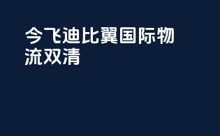 今飞迪比翼国际物流双清