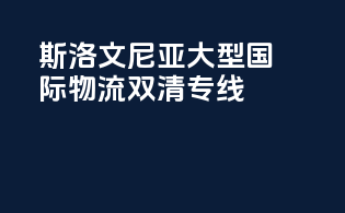 斯洛文尼亚大型国际物流双清专线
