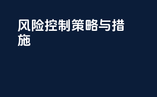 风险控制策略与措施