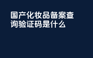 国产化妆品备案查询验证码是什么