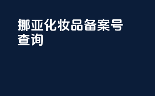 挪亚化妆品备案号查询
