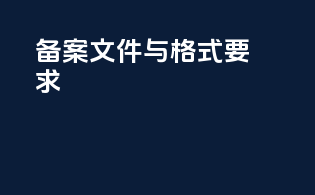 备案文件与格式要求