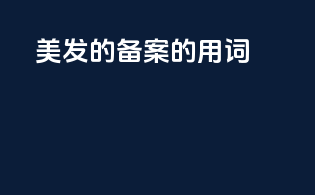 美发的备案的用词