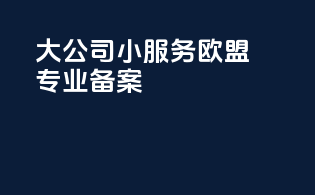 大公司小服务，欧盟专业备案