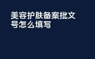 美容护肤备案批文号怎么填写