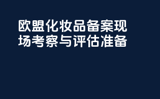 欧盟化妆品备案现场考察与评估准备