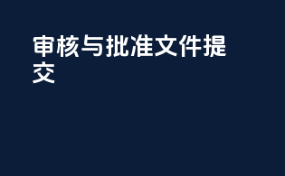 审核与批准文件提交